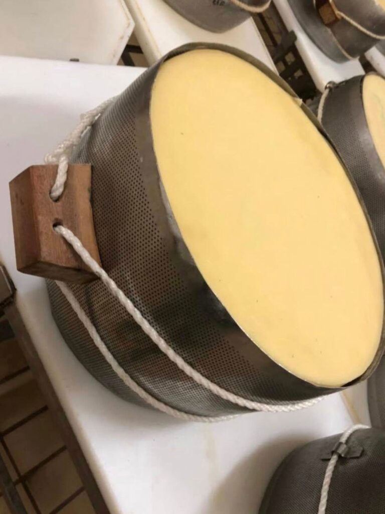 Parmigiano - épicerie Rendez-Vous en Italie Bandol