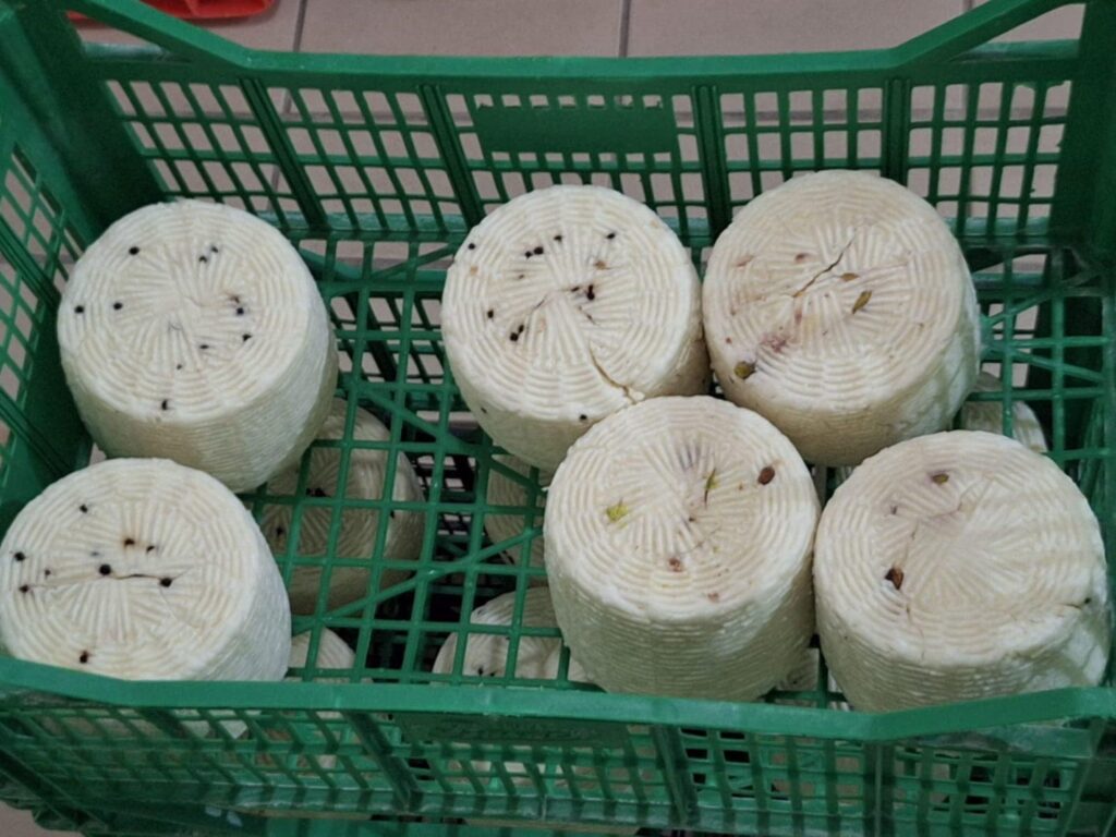 Pecorino - épicerie Rendez-Vous en Italie Bandol