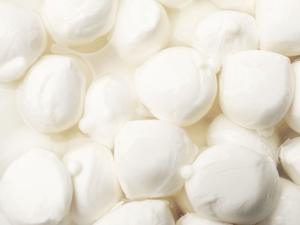 Mozzarella, burrata, stracciatella, affogliata - Différences et conseils de dégustation